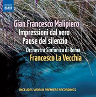 Audio Impressioni dal vero/Pause del silenzio La Vecchia/Orch. Sinfonica di Roma