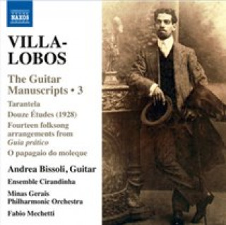 Аудио Guitar Manuscripts Vol.3 Andrea Bissoli