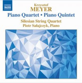 Audio Klavierquartett/Klavierquintett Piotr/Silesian String Quartet Salajczyk