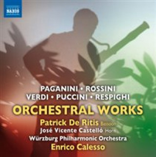 Audio Italienische Orchesterwerke P. /Castello De Ritis