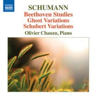 Audio Beethoven-Etüden/Geistervariationen/+ Olivier Chauzu