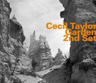 Audio Garden 2nd Set Cecil Taylor-Boesendorfer