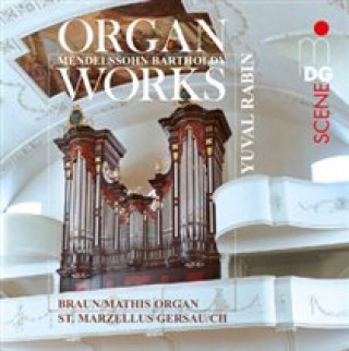 Audio Organ Works Yuval Rabin