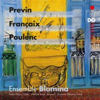 Audio Trio Ensemble Blumina