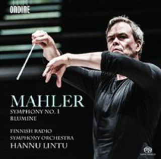 Audio Sinfonie 1/Blumine Hannu/Finnisches RSO Lintu