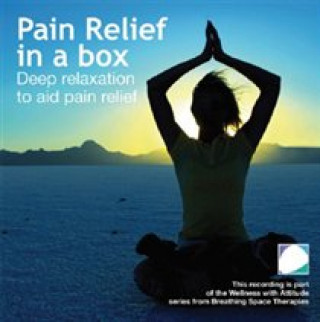 Áudio Healing the wounded soul Tony Stockwell