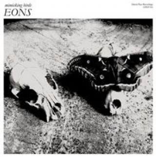 Audio Eon Mimicking Birds