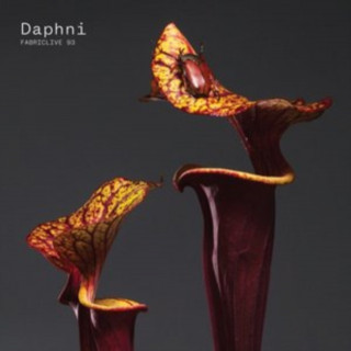 Audio Fabric Live 93 Daphni