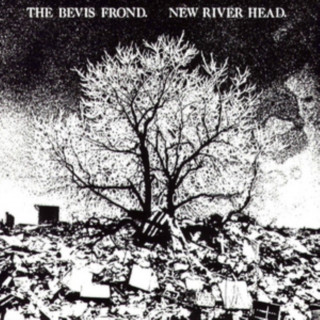 Audio New River Head The Bevis Frond