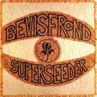 Audio Superseeder The Bevis Frond