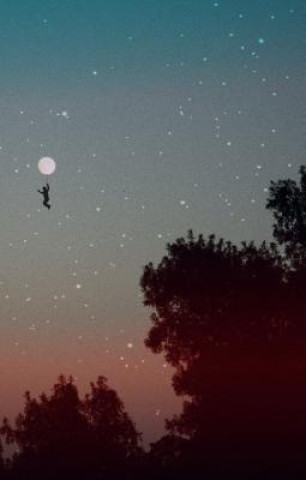 Book Moon Balloon Brent Crosby