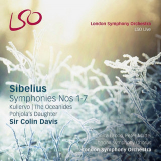 Audio Die Sinfonien/Die Ozeaniden/Kullervo Davis/Mattei/Groop/London SO & Chorus