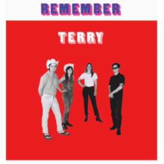 Zvok Remember Terry Terry
