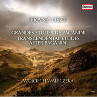 Hanganyagok Grand Etudes de Paganini/+ Wojciech Waleczek