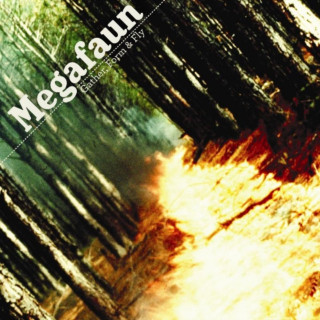 Audio Gather,Form & Fly Megafaun