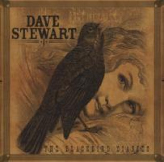 Audio The Blackbird Diaries Dave Stewart