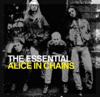 Audio The Essential Alice In Chains Alice In Chains