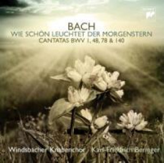 Audio Wie schön leuchtet der Morgenstern Windsbacher Knabenchor