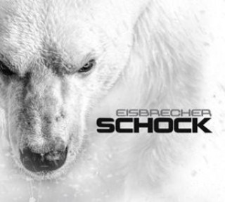 Audio Schock Eisbrecher