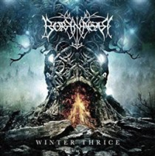 Audio Winter Thrice Borknagar