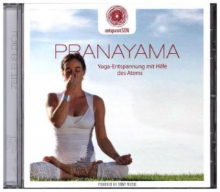 Audio Pranayama, 1 Audio-CD Davy Jones