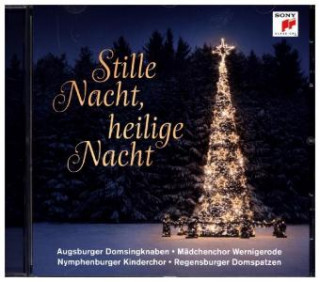 Audio Stille Nacht, heilige Nacht, 1 Audio-CD Various