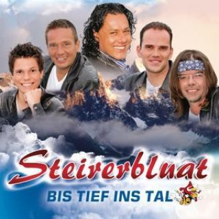 Audio Bis tief ins Tal Steirerbluat