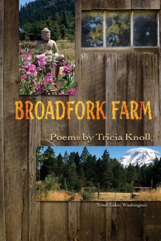 Könyv Broadfork Farm Tricia Knoll