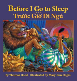 Kniha Before I Go to Sleep / Truoc Gio Di Ngu Thomas Hood