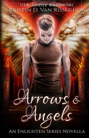 Kniha Arrows & Angels Kristin D. van Risseghem