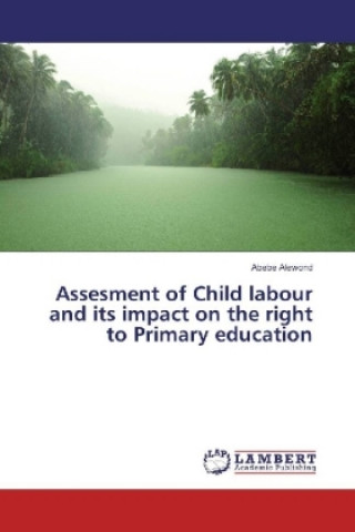 Книга Assesment of Child labour and its impact on the right to Primary education Abebe Alewond