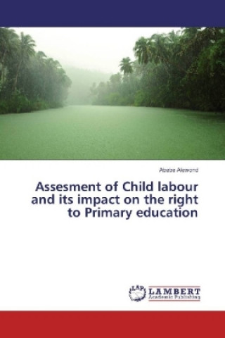 Kniha Assesment of Child labour and its impact on the right to Primary education Abebe Alewond