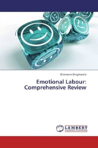 Könyv Emotional Labour: Comprehensive Review Shameem Shagirbasha