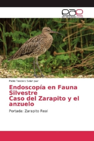 Kniha Endoscopía en Fauna Silvestre Caso del Zarapito y el anzuelo Pablo Teodoro Salah Jaar