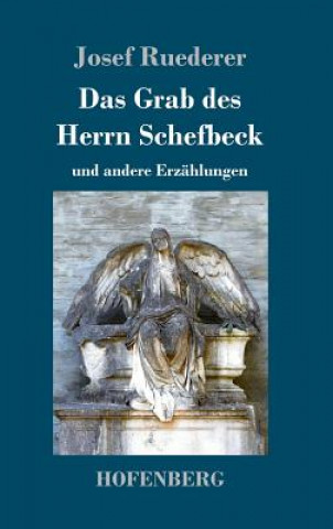 Kniha Grab des Herrn Schefbeck Josef Ruederer