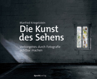 Kniha Die Kunst des Sehens Manfred Kriegelstein