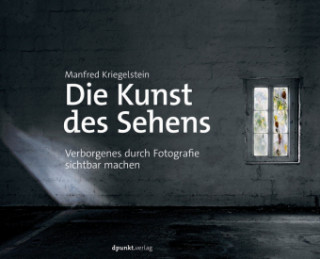 Buch Die Kunst des Sehens Manfred Kriegelstein