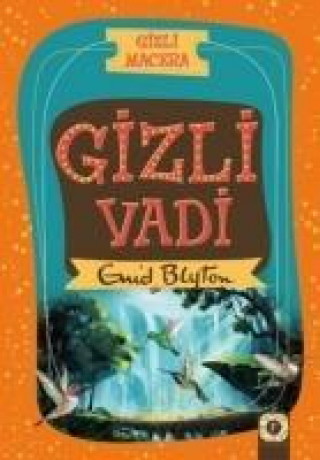 Kniha Gizli Macera Gizli Vadi Enid Blyton