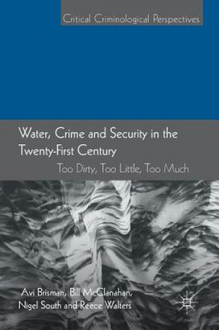 Kniha Water, Crime and Security in the Twenty-First Century Avi Brisman