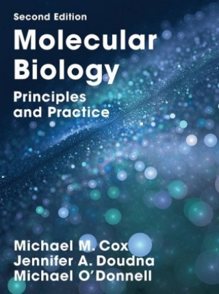 Kniha Molecular Biology Michael M. Cox