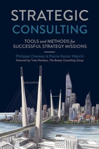 Kniha Strategic Consulting Pierre-Xavier Meschi
