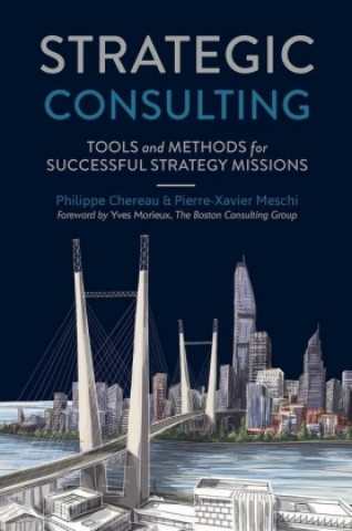 Book Strategic Consulting Pierre-Xavier Meschi