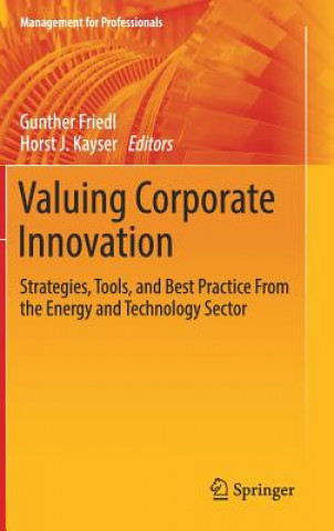 Kniha Valuing Corporate Innovation Gunther Friedl
