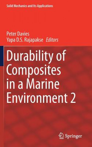 Kniha Durability of Composites in a Marine Environment 2 Peter Davies