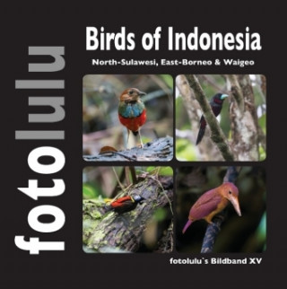 Könyv Birds of Indonesien Fotolulu
