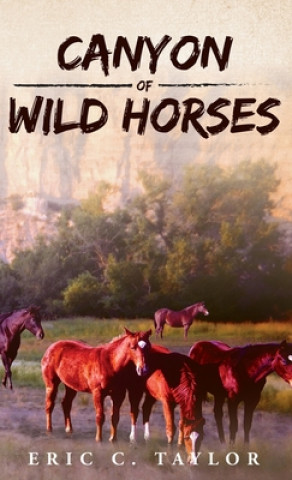 Książka Canyon of Wild Horses Eric C Taylor