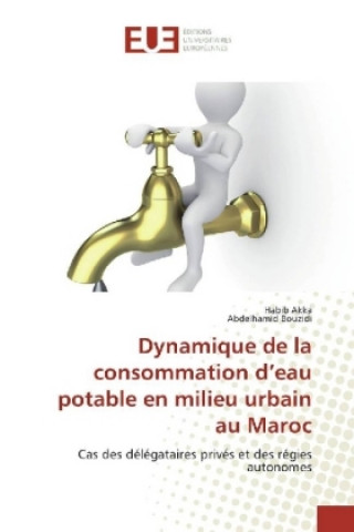 Carte Dynamique de la consommation d'eau potable en milieu urbain au Maroc Habib Akka