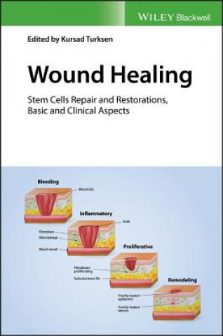 Könyv Wound Healing - Stem Cells Repair and Restorations , Basic and Clinical Aspects Kursad Turksen