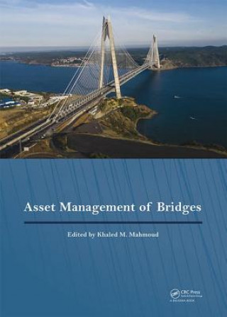 Kniha Asset Management of Bridges 