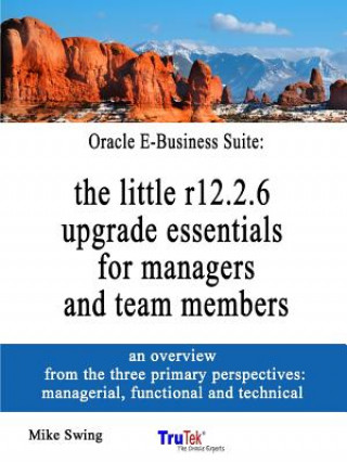 Książka Oracle E-Business Suite MIKE SWING